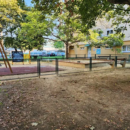 Lizo Deluxe Székesfehérvár